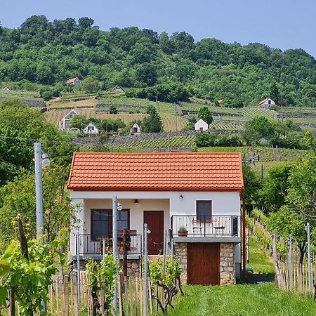 Jera Pince Es Vendeghaz Villa Somlovasarhely ภายนอก รูปภาพ