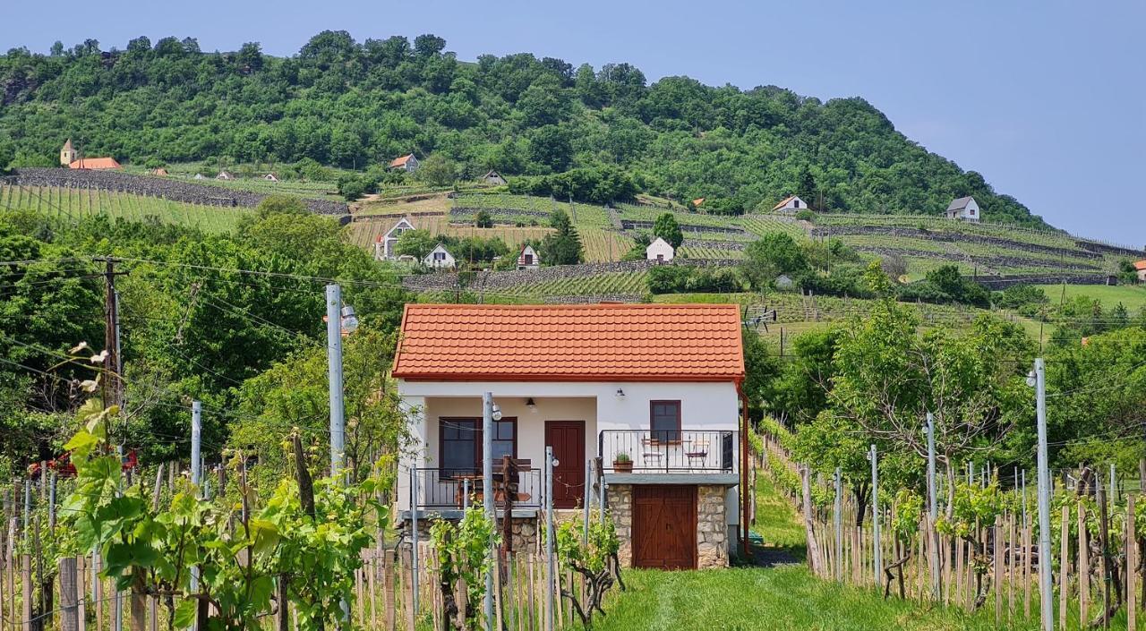 Jera Pince Es Vendeghaz Villa Somlovasarhely ภายนอก รูปภาพ
