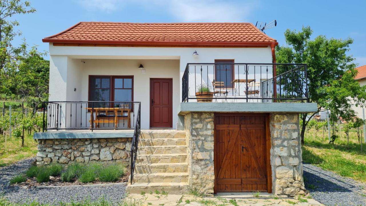 Jera Pince Es Vendeghaz Villa Somlovasarhely ภายนอก รูปภาพ
